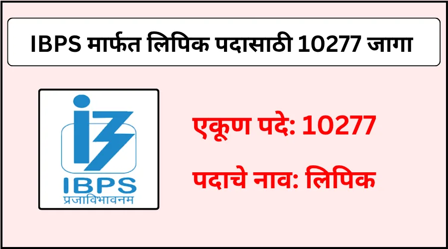 IBPS कडून लिपिक पदासाठी एकूण 10277 जागांची भरती 2025