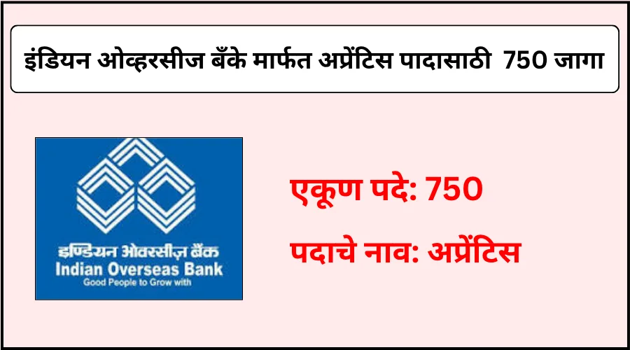 इंडियन ओव्हरसीज बँकेत कडून अप्रेंटिस पादासाठी एकूण 750 जागांची भरती 2025